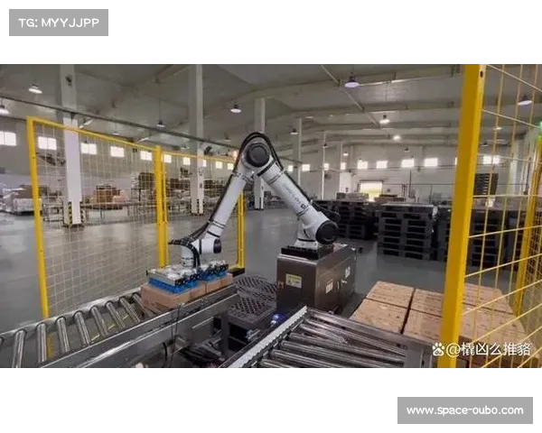 陈文浩并列第八名历程：从推橇测试到国际赛突破